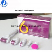 6 in 1 Derma Roller